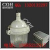 NFE9112防眩目應(yīng)急分體式頂燈