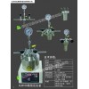 100ml微型平行高壓反應釜，微型磁力高壓反應釜