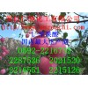 L-蘋果酸，福建哪里有L-蘋果酸生產商，廈門L-蘋果酸報價