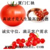 生物素供應(yīng)商電話 生物素中國(guó)馳名商標(biāo) 生物素廠家哪家好