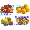 脫氫禁發(fā) 醋酸鈉供應(yīng)商電話 脫氫禁發(fā) 醋酸鈉最新報(bào)價(jià) 脫氫禁發(fā) 醋酸鈉含量