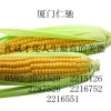 魚精蛋白禁發(fā) 硫酸鹽使用說(shuō)明 魚精蛋白禁發(fā) 硫酸鹽中國(guó)馳名商標(biāo)