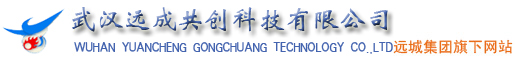 武漢遠(yuǎn)成共創(chuàng)科技有限公司國內(nèi)部