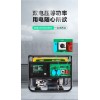 薩登10千瓦小型汽油發(fā)電機廠家