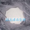 博杰生產(chǎn)供應葉菌唑97% 廠家現(xiàn)貨