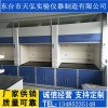 安慶市 化驗室通風櫥生產(chǎn)廠家，池州市通風柜材質(zhì)說明