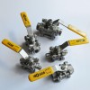 美國(guó)FITOK型號(hào)BGSS-FRT8-15不銹鋼內(nèi)螺紋球閥