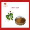 人參莖葉提取物人參皂甙80%UV 植物濃縮粉價格